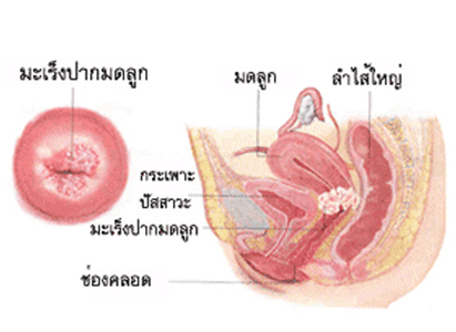 ผู้หญิงมีกี่รู pantip