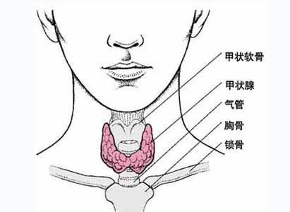 甲状腺癌