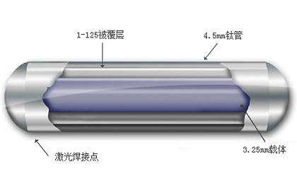 125I Seed Implants –Tumor-Oriented Therapy