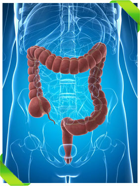 About Colorectal Cancer