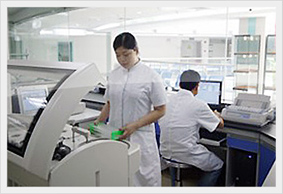 Cấy tế bào gốc