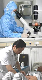 Điều trị gen trúng đích