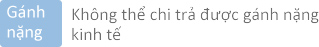 Không thể chi trả được gánh nặng 
kinh tế
