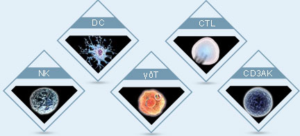 Multiple Targeted Therapy