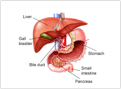 Liver Cancer Symptoms