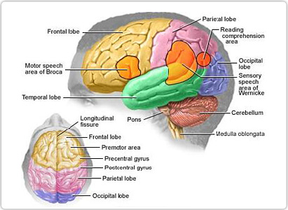 Brain Tumor Symptoms