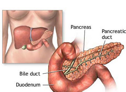 Gallbladder Cancer Symptoms