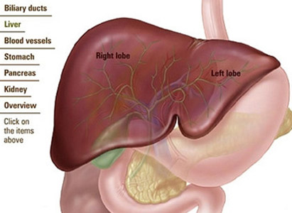 bile duct cancer symptoms