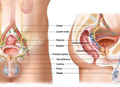 Testicular Cancer Diagnosis