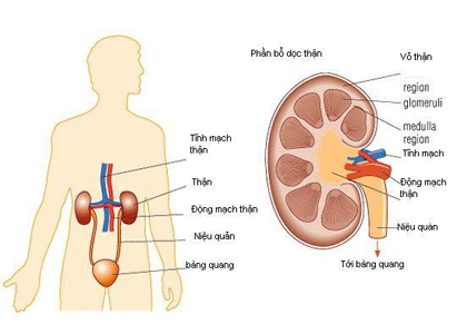 ung thư tuyến thượng thận