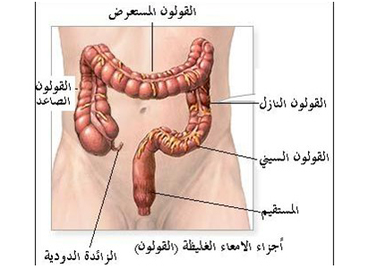  الأعراض الرئيسية لسرطان الأمعاء