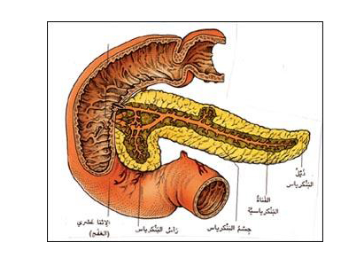  سرطان البنكرياس 