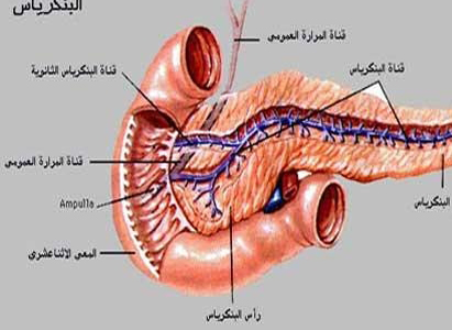  أعراض سرطان البنكرياس 